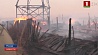 В Забайкальском крае России из-за степных пожаров готовятся ввести режим ЧС