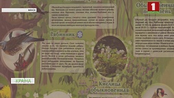 В Минске в этом году благоустроят еще три экологические тропы