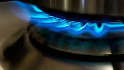 Уровень газификации квартир природным газом в Беларуси превысил 83 %
