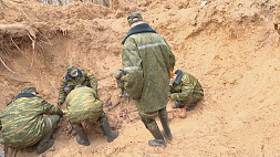 Специалисты 52-го поискового батальона возобновили работы в местах массового уничтожения белорусов