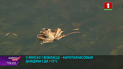 В Минске и области на этой неделе ожидаются кратковременные дожди и до +13ºС
