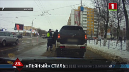 "Едва связывал слова" - водителя с 3,8 промилле алкоголя задержали в Бобруйске 