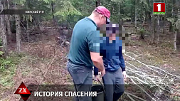 Мальчик с мамой пошли за грибами в Минском районе, ребенок потерялся 