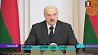 Возведение Белорусской АЭС, поставки углеводородов и модернизацию нефтеперерабатывающих заводов обсуждали сегодня у Президента 