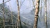 Высокая пожароопасность сохраняется в Беларуси