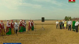 В агрокомбинате "Ждановичи" чествовали одного из лидеров жатвы