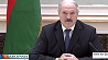 Беларусь и Мордовия строят большие планы