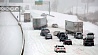 В США  снежная буря унесла жизни пяти человек