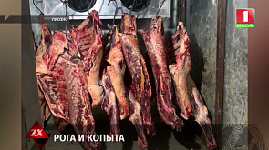 БЭП пресечена схема нелегального вывоза мяса из Беларуси