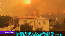 Большинство лесных пожаров в Турции удалось взять под контроль