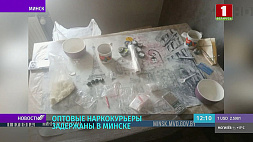Оптовых наркокурьеров задержали в Минске - изъято более 1 кг опасного психотропного вещества