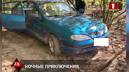 В Ошмянах раскрыт угон автомобиля 