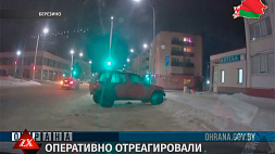 Новые подробности о задержании международной группы автоворов в Беларуси