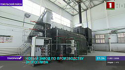Новый пеллетный завод в Гомельском районе будет выпускать 5 тонн топливных гранул в час