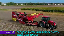 Объемы производства 4 сахарных заводов в Беларуси  приблизились к 5 тысячам тонн в сутки