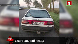 В Дрогичинском районе правоохранители за два часа установили личность водителя, который скрылся с места ДТП