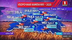 40 % площадей зерновых убрано белорусскими аграриями