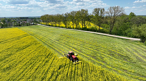 Сельхозорганизации Минской области убрали более 20 % трав первого укоса