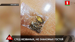 Жители Слуцка ограбили свою родственницу, вынесли вещей на 11 тыс. рублей