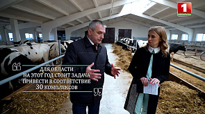 Крупко: Одна из главных задач у животноводства - это молочное скотоводство