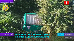 Пассажирский автобус съехал в кювет в Столинском районе 