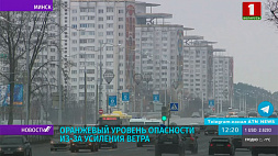 Оранжевый уровень опасности объявлен в Беларуси из-за усиления ветра
