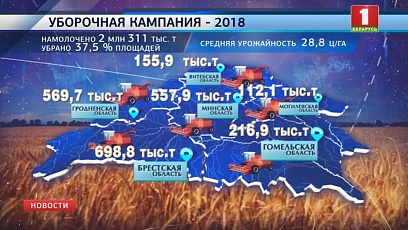 На сегодня в Беларуси собрано 2 миллиона 311 тысяч тонн нового урожая