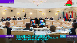 Парламентарии Беларуси и России намерены совместно  бороться с фейками и информационными вбросами