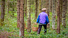 В белорусских лесах все чаще теряются грибники 