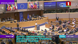 Депутат Европарламента: Давайте прекратим принимать безумные решения! 