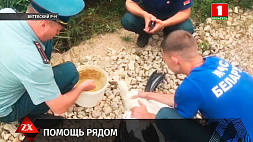 Застрял на вышке связи - в деревне Савченки Витебского района бойцы МЧС спасали аиста