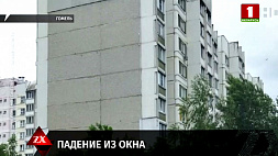 В Гомеле 5-летняя девочка выпала из окна 5-го этажа