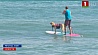 В американском городе Юпитер  прошел чемпионат собак по серфингу
