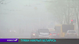 Туман накрыл Беларусь: местами видимость менее 50 метров