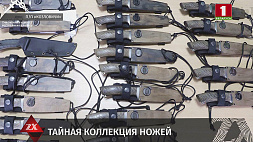 Коллекцию холодного оружия изъяли таможенники в п/п "Козловичи"