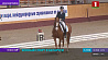 Беларусь на Олимпийских играх в Токио в конном спорте представит рекордное число спортсменов