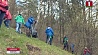 7 тысяч человек готовы поучаствовать в акции и навести порядок в лесах Минской области
