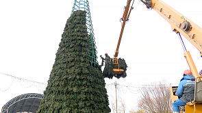 Уже? В Минске начали устанавливать новогодние елки