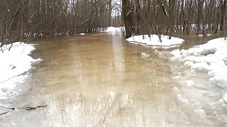 Подтопление более 40 домов в Гомельской области - аномально теплая зима принесла в Беларусь паводок