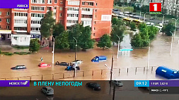 В Беларуси устраняют последствия непогоды - вслед за жарой пришли грозы и ливни