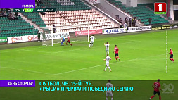 В матче 15-го тура чемпионата Беларуси по футболу "Гомель" прервал победную серию