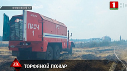 В Петриковском районе ликвидируют крупный торфяной пожар 