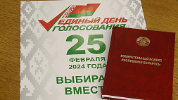 Выборы-2024 в Беларуси - продолжается выдвижение кандидатов в депутаты