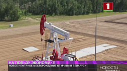 Новое нефтяное месторождение открыли в Беларуси