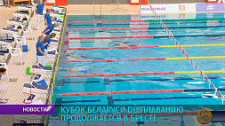 Открытый кубок Беларуси по плаванию продолжается в Бресте, в списке 342 спортсмена