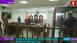 Суд вынес вердикт в отношении жителя Минского района, который развешивал чучела с фотографиями милиционеров