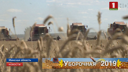 Сельхозорганизации ускоряют темпы уборки зерновых
