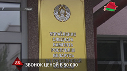 Мошенники украли 50 тыс. рублей у жительницы Мостов 