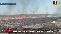 Неосторожное обращение с огнем повлекло гибель пенсионера в Быховском районе