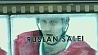 Руслан Салей введен в Зал славы Международной федерации хоккея